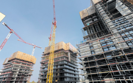 Triiiple wächst weiter