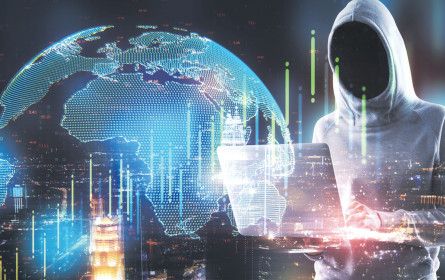 Cybercrime-Schutzschild