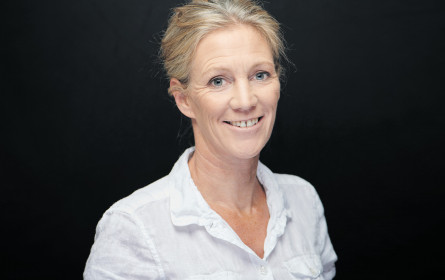 Wachstumstorpedo Hanf: Aus der Nische ins Regal