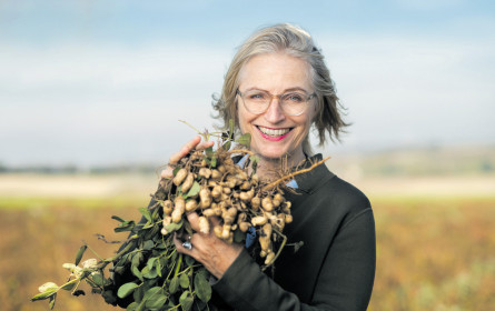 Ja! Natürlich rüstet Nikolo nussig aus