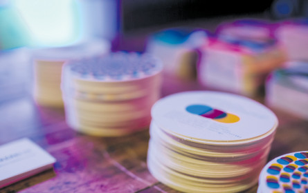 Mit Standardisierung zur Diversifizierung