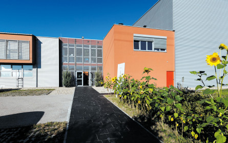 Veränderung als Konstante