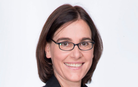 Was hält Marketingverantwortliche davon ab, Daten zu Gold zu machen?