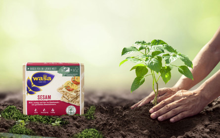 Knäcke für eine grünere Welt