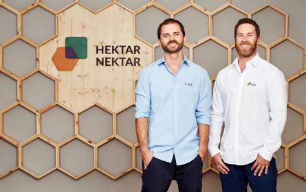 Wiener Social Start-up Hektar Nektar übertrifft das Jahresziel 2019
