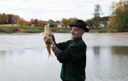 Mit den heimischen Ja! Natürlich-Karpfen in die Fastenzeit