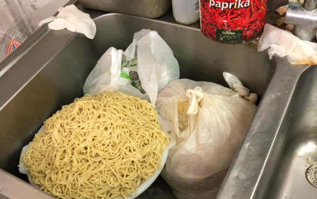 Noch mehr illegale Teigtascherl-Produktionsstätten in Wien entdeckt