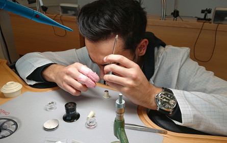 Karriere im Nobel-Biz