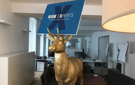 Die Hirschen verpassen Risk Experts eine neue CI