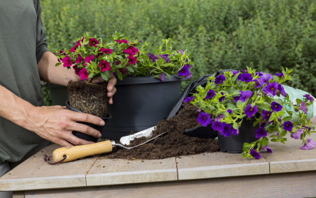 Wohlfühloase Garten - Immer schon und jetzt noch mehr