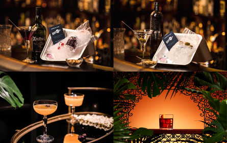 Moët Hennessy präsentiert erste Plattform für Drink Delivery Services