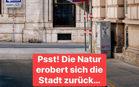 WienTourismus sichtet „Die Mietzi aus dem Wienerwald“