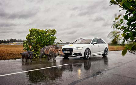 Assistenzsysteme können Wildunfälle vermeiden