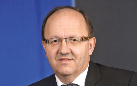 Was kommt nach der Hamsterphase?