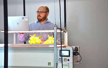 Vertical Farming: Die erste „Pflanzenfabrik“ geht in Betrieb