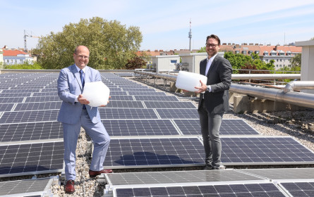 Unsere Sonne tiefkühlt Fleisch, Gemüse und Pommes klimaschützend