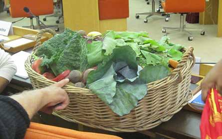 EU-Strategie „Farm to Fork“: Menschenrechte ins Ernährungssystem