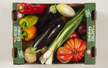 Gärtnergemüse "Kistl Drive In" geht in die zweite Runde