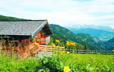 Österreich ist dieses Jahr als Urlaubsland in aller Munde