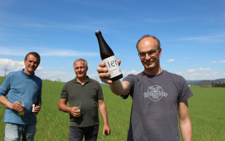 100% Mühlviertel: Hofstettners Bio-Goldblumen Weizen