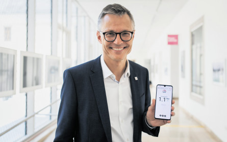 Wie Österreich die Wochen daheim online verbracht hat