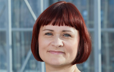 Strategie Austria Online-Event mit über 70 Gästen