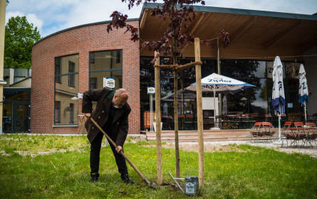 Brauereien pflanzen für den Umweltschutz