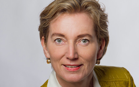 Einladung zur ersten Online-Veranstaltung: VBV im Diskurs