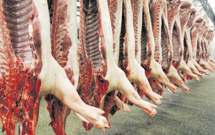 In Deutschland soll Preisaufschlag auf Fleisch kommen