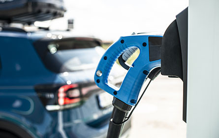 Alternativen werden gefragter