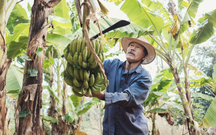 Lidl bekennt sich zum UN Global Compact