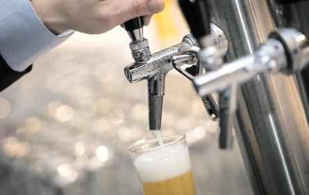 Drei x Platz 1 für Ottakringer Biere bei der „Falstaff Bier Trophy 2020“