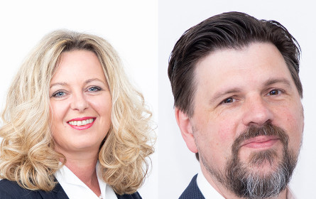 Immo Solutions expandiert und baut sein Team weiter aus