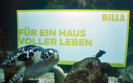 Billa übernimmt Patenschaft für Haus des Meeres