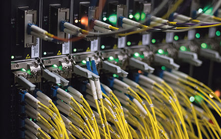 Ein Virus bringt zufälligen Netztest