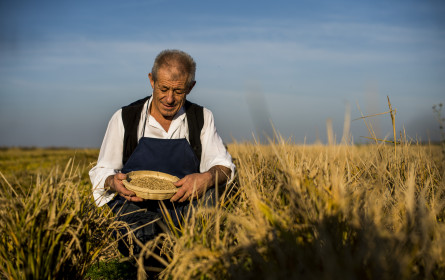 Billa setzt auf heimische Exoten