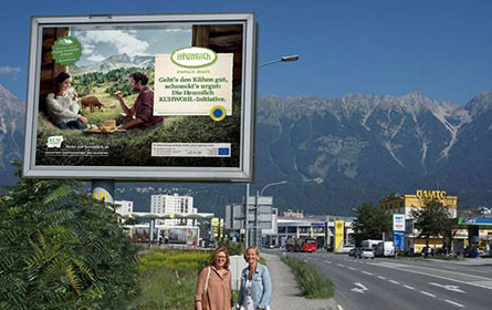 Heumilch setzt auf Kuhwohl