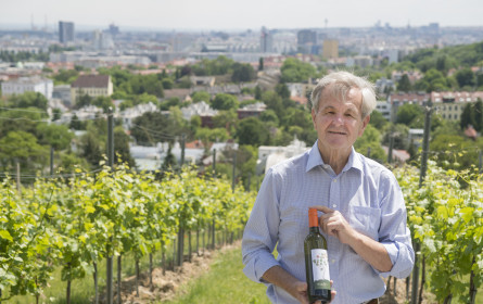 „WiraWaxt“: Gemischter Satz aus dem Hause Höpler