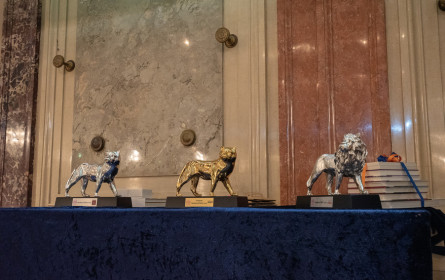 Starke Gold-Anwärterinnen bei den Medienlöwinnen