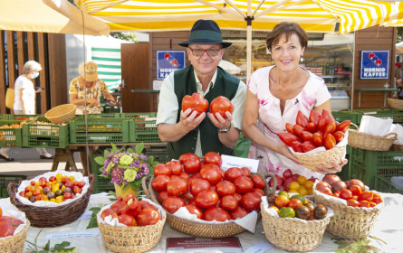 Tag der Paradeiser: Ochsenherzen sind der Sommerhit