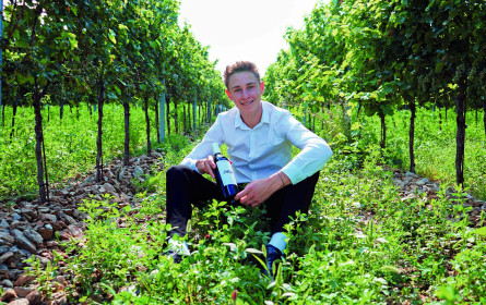 Leo Hillinger verifiziert seine ersten eigenen Weine