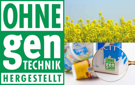 Weltweit erstes Open-Source-Nachweisverfahren für Pflanze aus neuer Gentechnik entwickelt