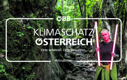 Virtue setzt für die ÖBB um