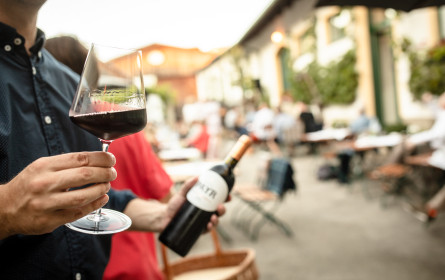 Kultur beim Winzer: Erfolgreiche erste Saison 2020