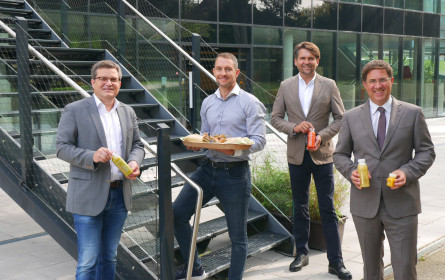 dean&david kommt nach Wels