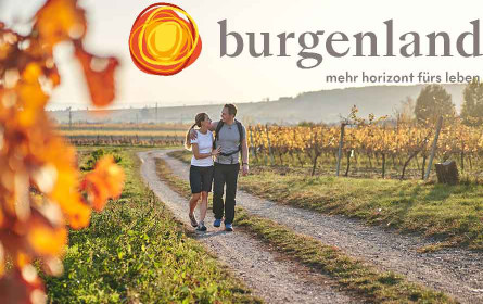 Den pannonischen Herbst entdecken