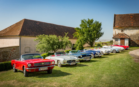 Oldtimer Picknick mit Hertz Classics