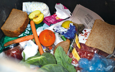 WWF-Bericht fordert Halbierung der Lebensmittel-Verschwendung