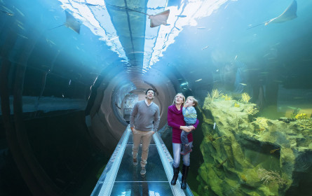 Lidl Österreich startet wieder Kooperation mit Haus des Meeres