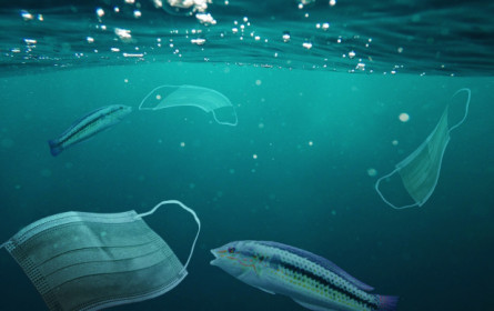 Drei Strategien gegen die „Plastikpandemie“